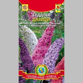 Буддлея Давиди