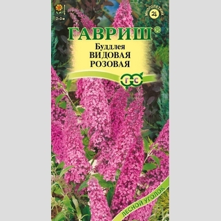 Буддлея Видовая розовая