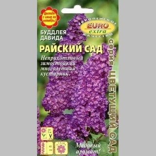 Буддлея Райский сад