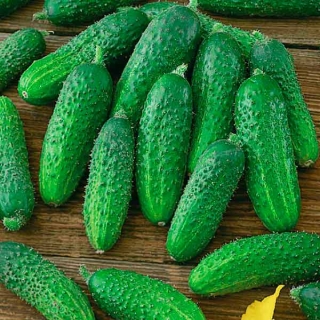 Огурец Бум F1