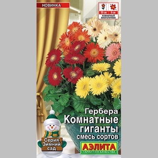 Гербера Комнатные гиганты