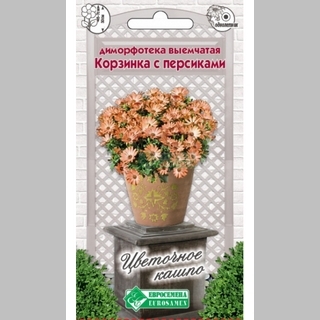 Диморфотека Корзинка с персиками (выемчатая)