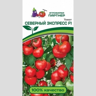 Томат Северный экспресс F1