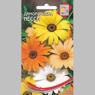 Диморфотека Несси смесь