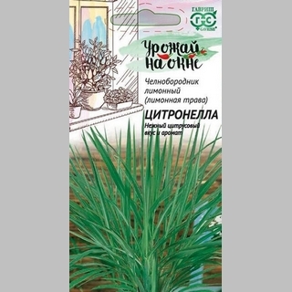 Лимонная трава Цитронелла (челнобородник лимонный)