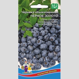 Черника Черное Золото