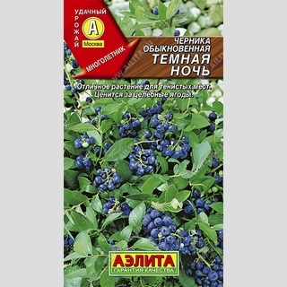 Черника Темная ночь обыкновенная