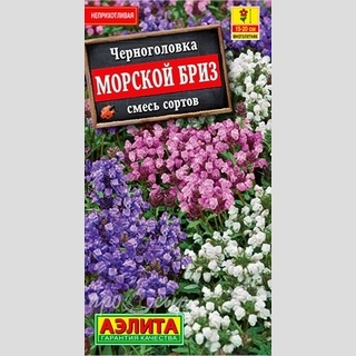 Черноголовка Морской бриз, смесь окрасок