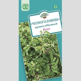 Черноголовник Резус кровохлебковый (Кровохлёбка)