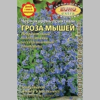 Чернокорень Гроза мышей