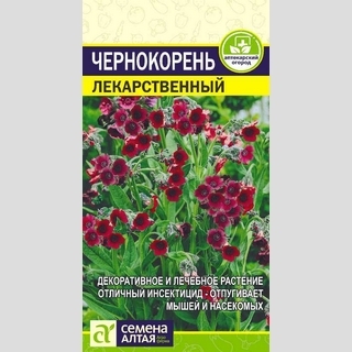 Чернокорень Лекарственный