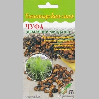 Чуфа (земляной миндаль)