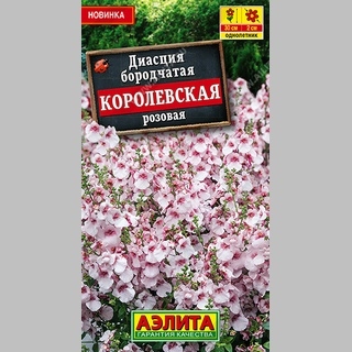 Диасция Королевская розовая