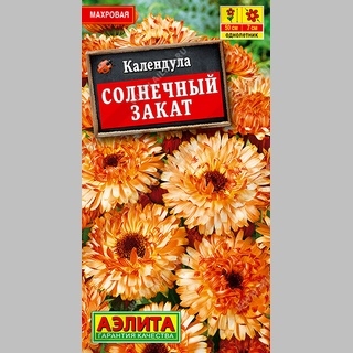 Календула Солнечный закат