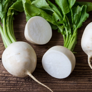 Дайкон Юки Но Тама F1 (улучшенный Биг Бол)