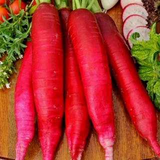 Дайкон Японский Красный Длинный