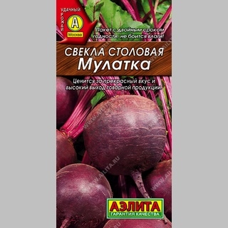 Свекла Мулатка