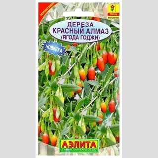 Дереза Красный алмаз (ягода Годжи)