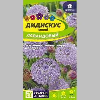 Дидискус лавандовый