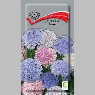 Дидискус Облака