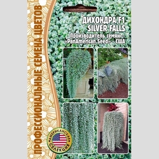 Дихондра Silver Falls F1 (большой пакет)