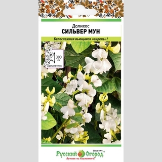 Долихос Сильвер Мун