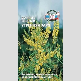 Донник Утренняя заря желтый