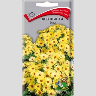 Доротеантус Еллоу (маргаритковидный)