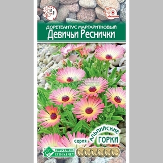 Доротеантус Девичьи Реснички маргаритковый