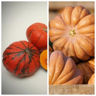 Дуэт Тыква Медовый пирог + Конфетка