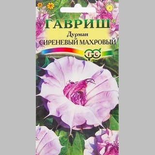 Дурман Сиреневый махровый