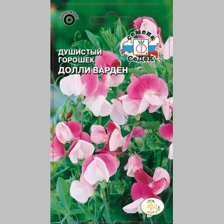Горошек Долли Варден душистый