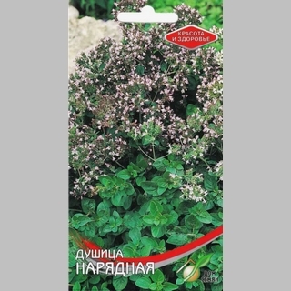 Душица Нарядная