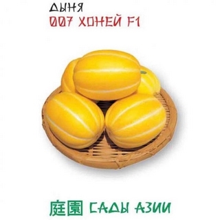 Дыня 007 Хоней F1