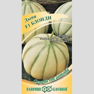 Дыня Блонди F1