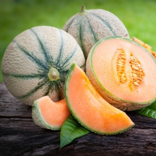 Дыня Charentais экзотическая (большой пакет)