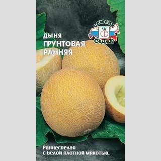 Дыня Грунтовая ранняя