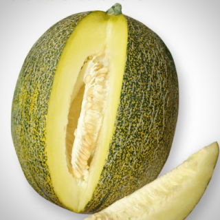 Дыня Крисмас F1