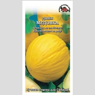 Дыня Медовка