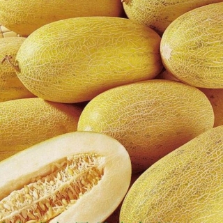 Дыня Торпеда (Мирзачульская) узбекская (большой пакет)