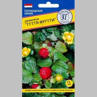 Дюшенея Тутти Фрутти индийская