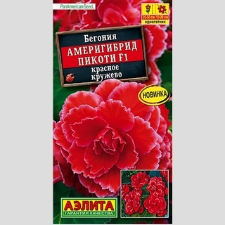 Бегония Америгибрид Пикоти F1 Красное кружево
