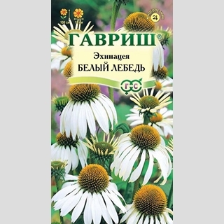 Эхинацея Белый лебедь