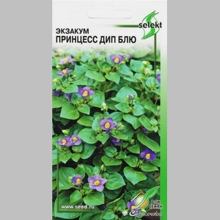 Экзакум Принцесс Дип Блю