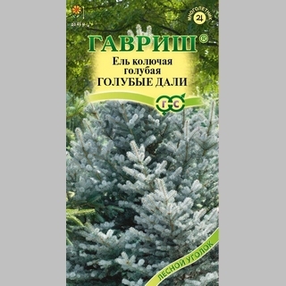 Ель Голубые дали голубая (колючая)