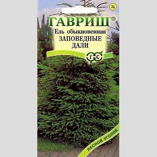 Ель Заповедные дали обыкновенная