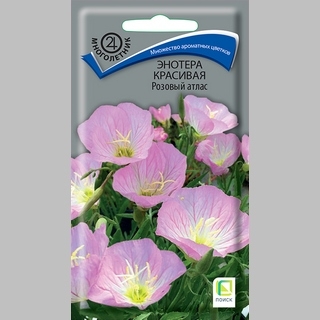 Энотера Розовый атлас