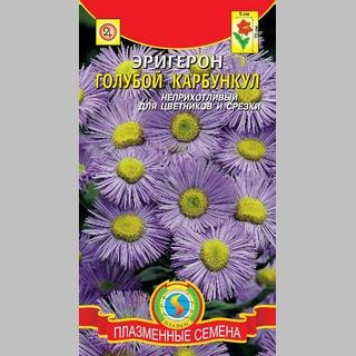 Эригерон Голубой карбункул