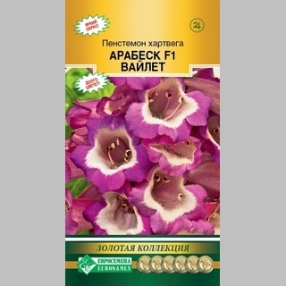 Пенстемон Арабеск Вайлет F1