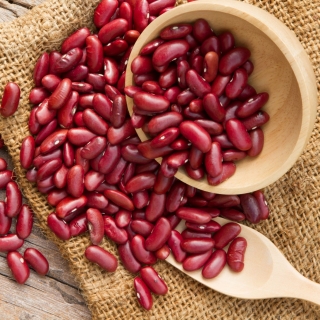 Фасоль Дикая овощная лущильная